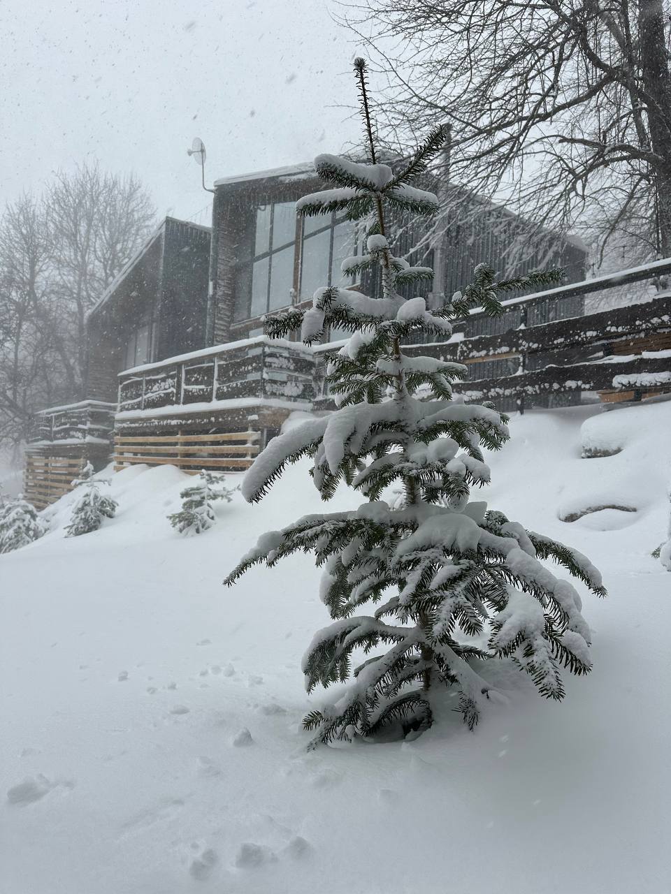 Фото Тишина