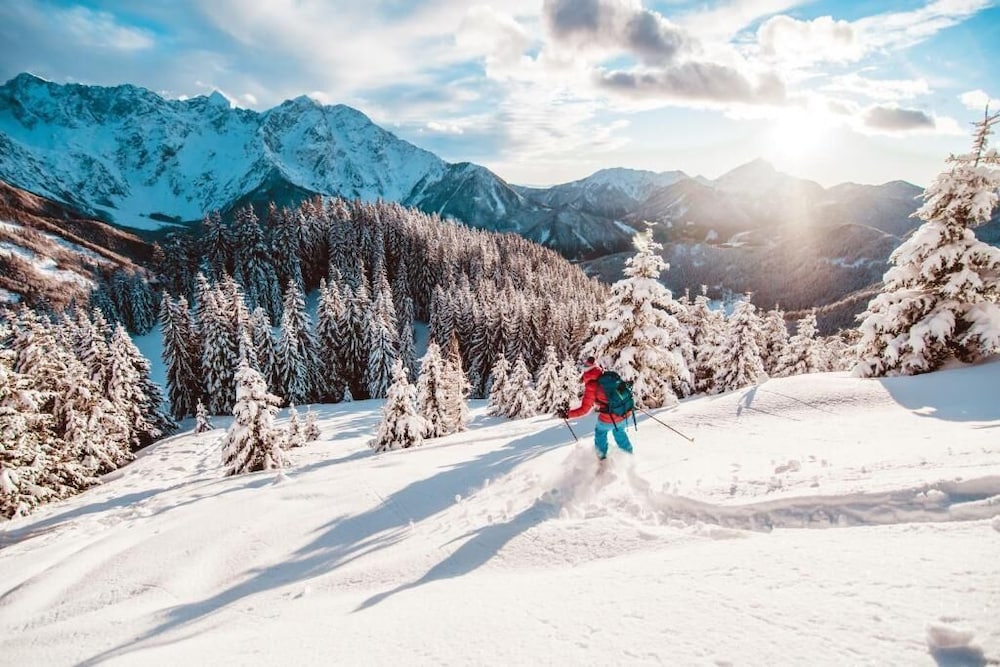 Фото Boutique Hotel Vila Planinka