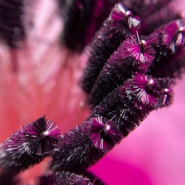 Eyebrow and eyelash salon Starmoon Lashes, Almaty, photo