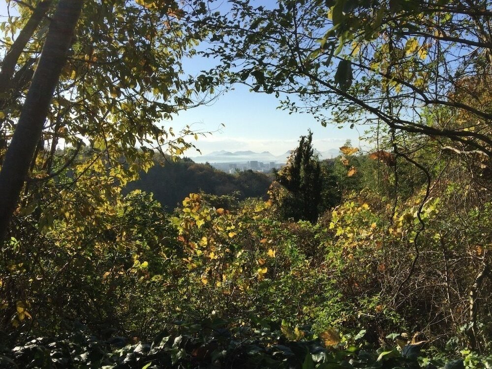 Фото Alpha Eight - Hostel