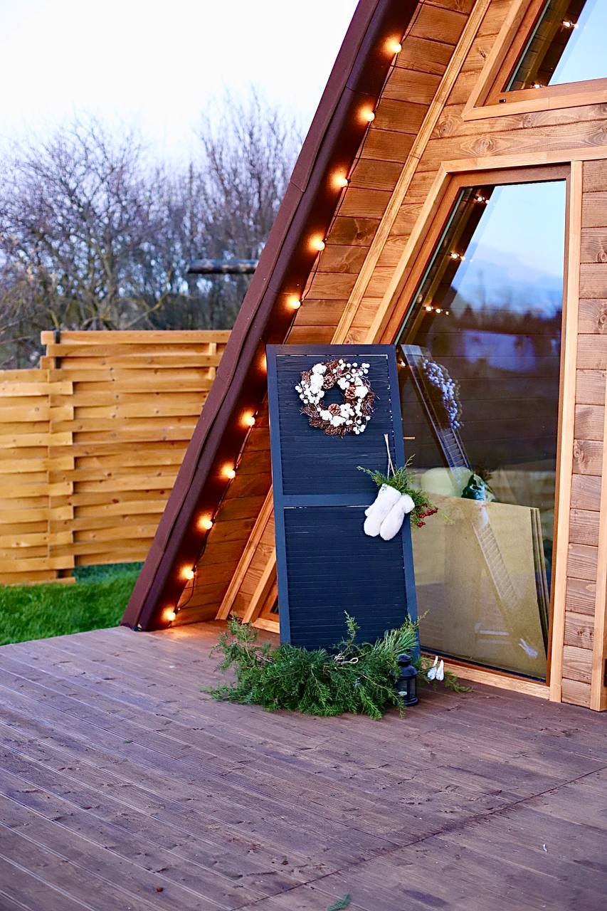 Фото Гнездо