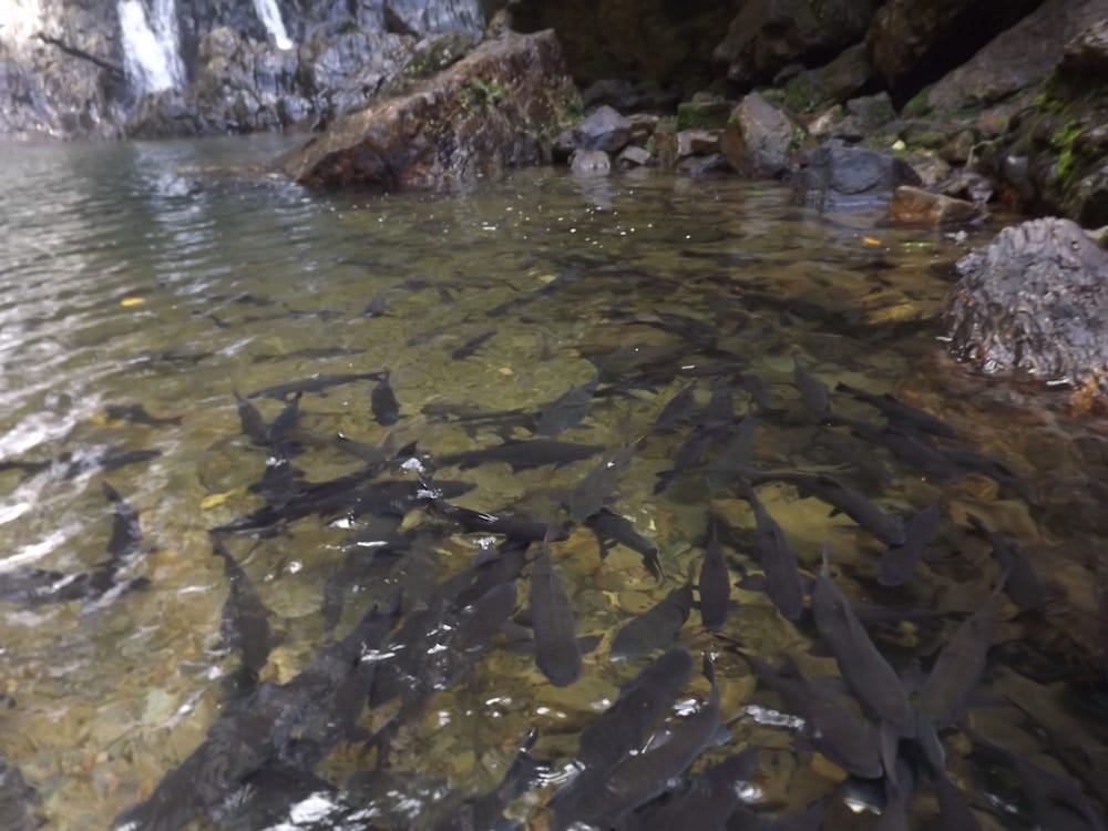 Фото The Canal Villas Khaolak