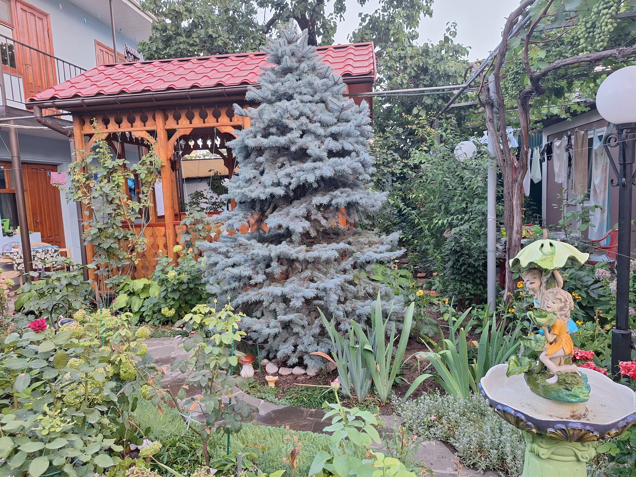 Фото Гостевой дом на Калинина Феодосия