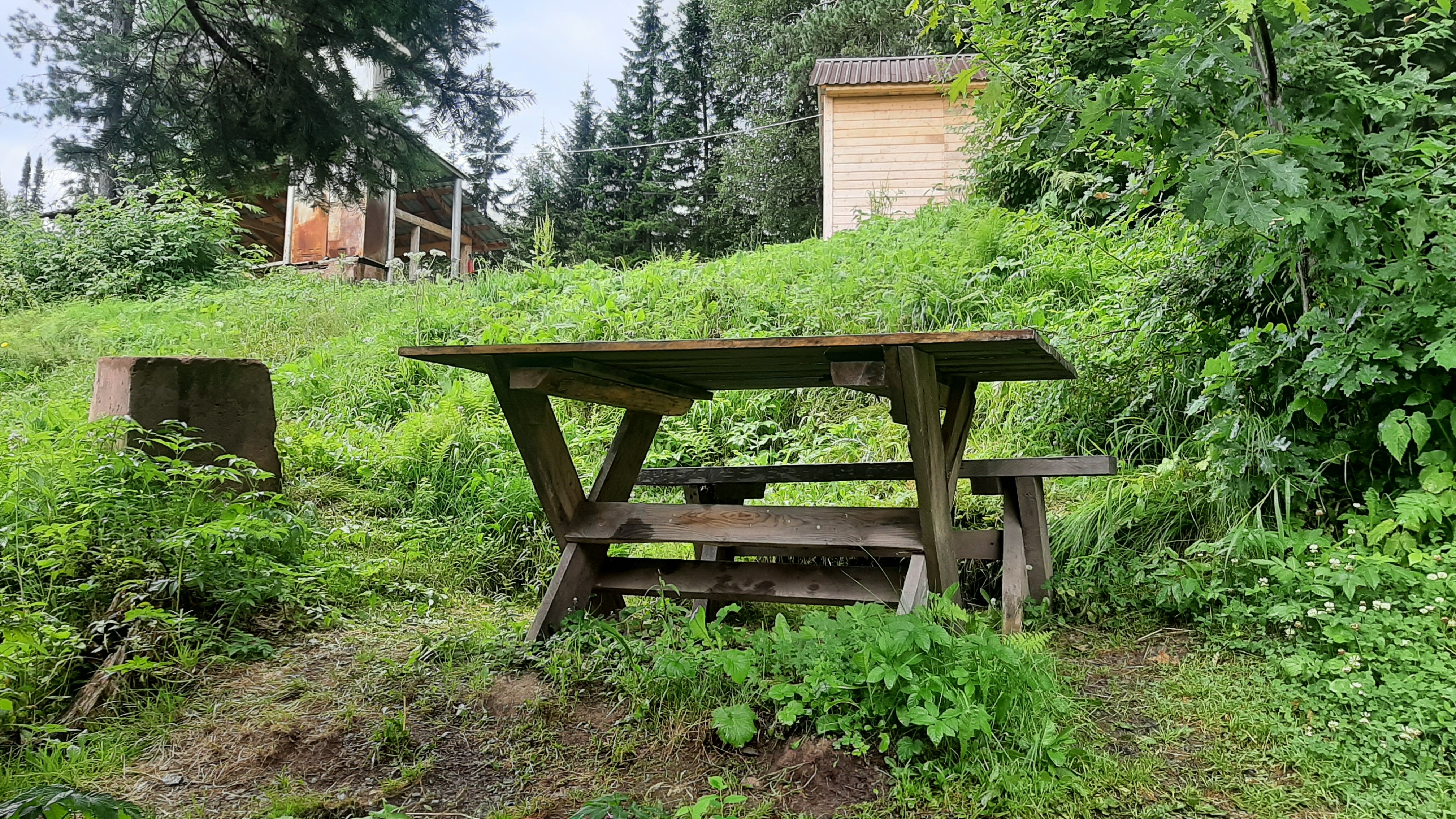 Фото Кедровый берег