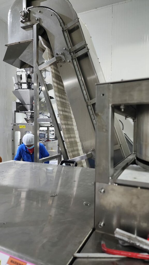 Food raw materials Alaska Ice Factory, Sharjah, photo