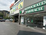 Hippocrates (Dimitrie Cantemir Boulevard, 6) ، صيدلية