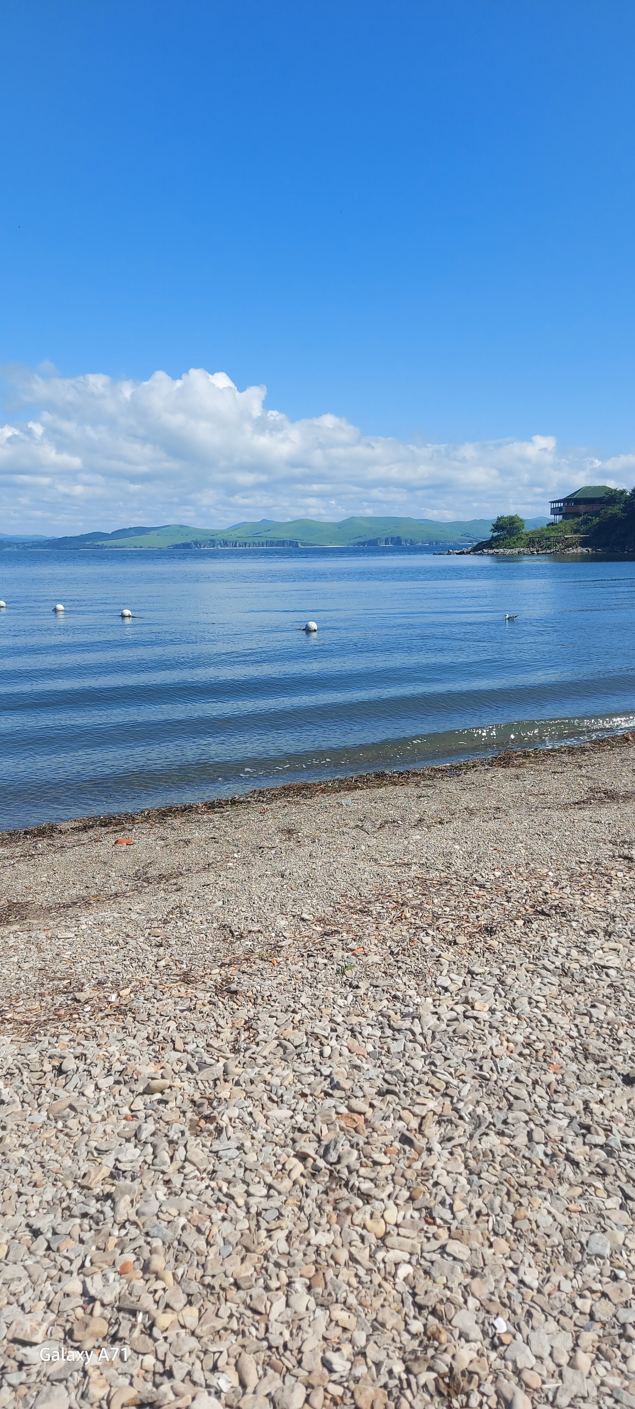 Фото Гружевские