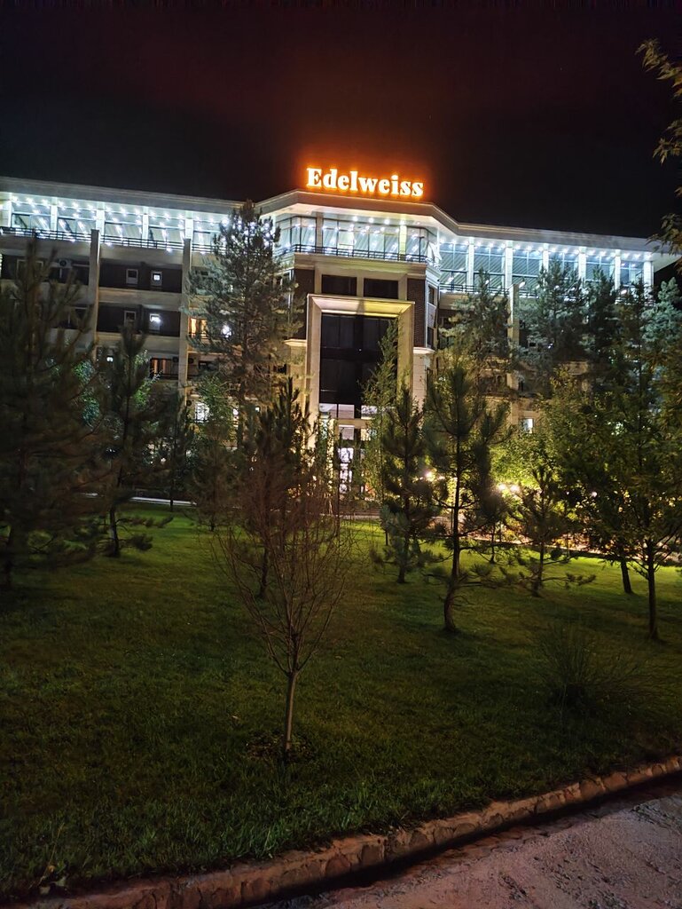 Mehmonxona Edelweiss Hotel & Resort, Toshkent viloyati, foto