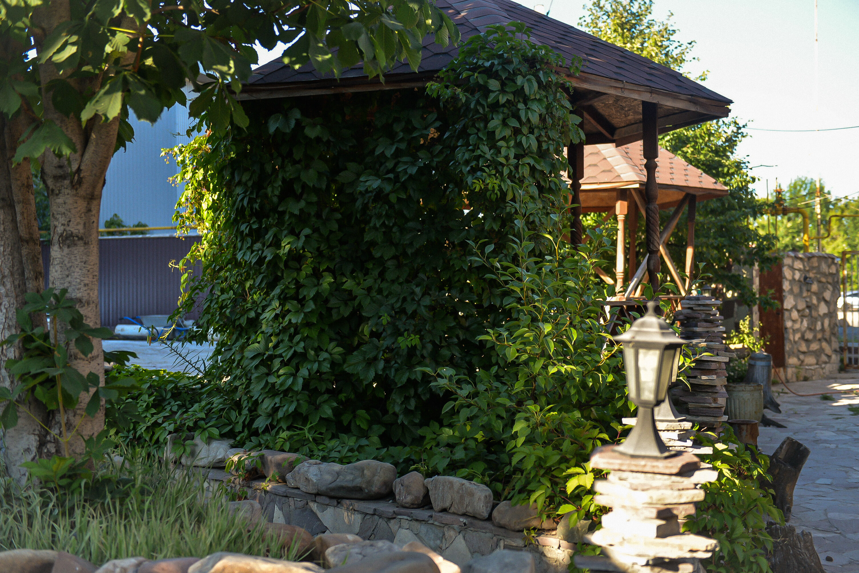 Фото Аля Русъ