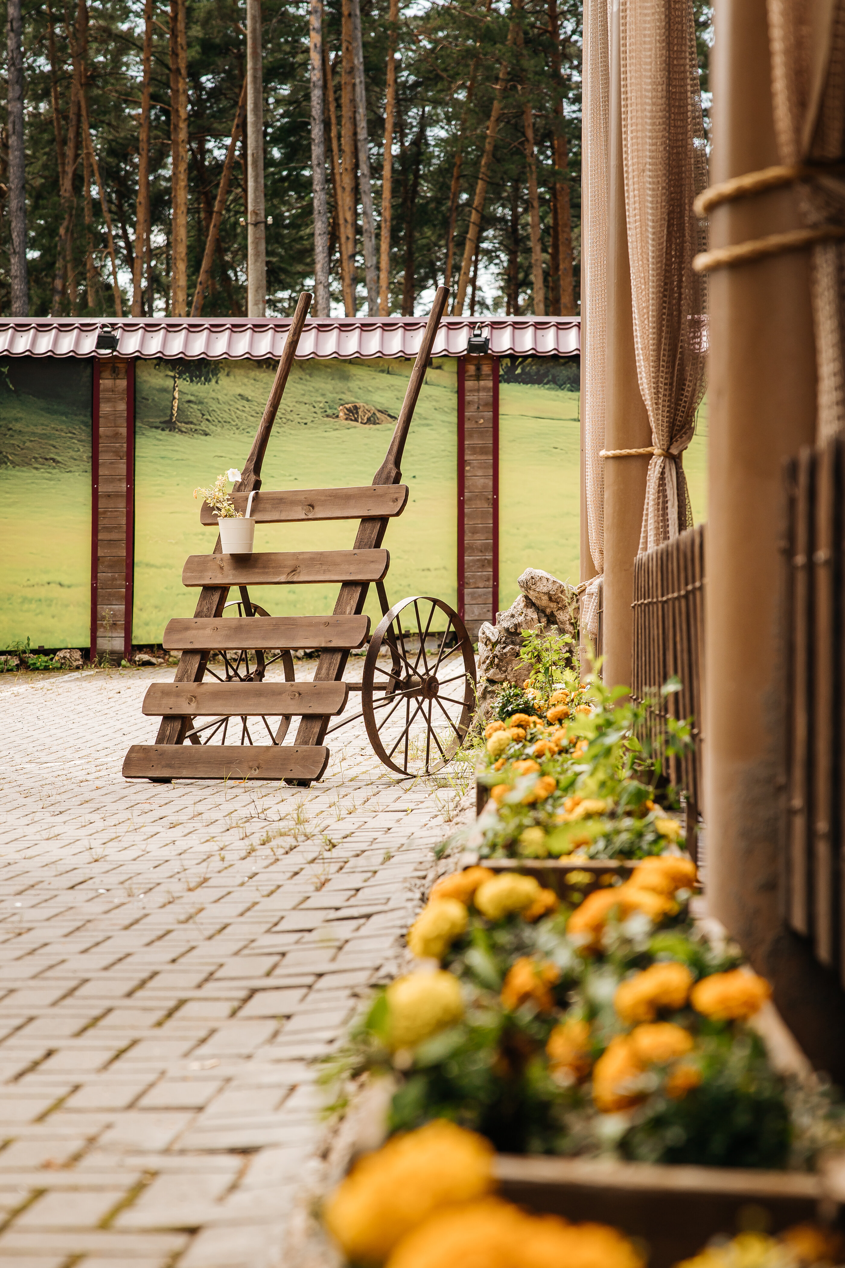 Фото Ранчо 636