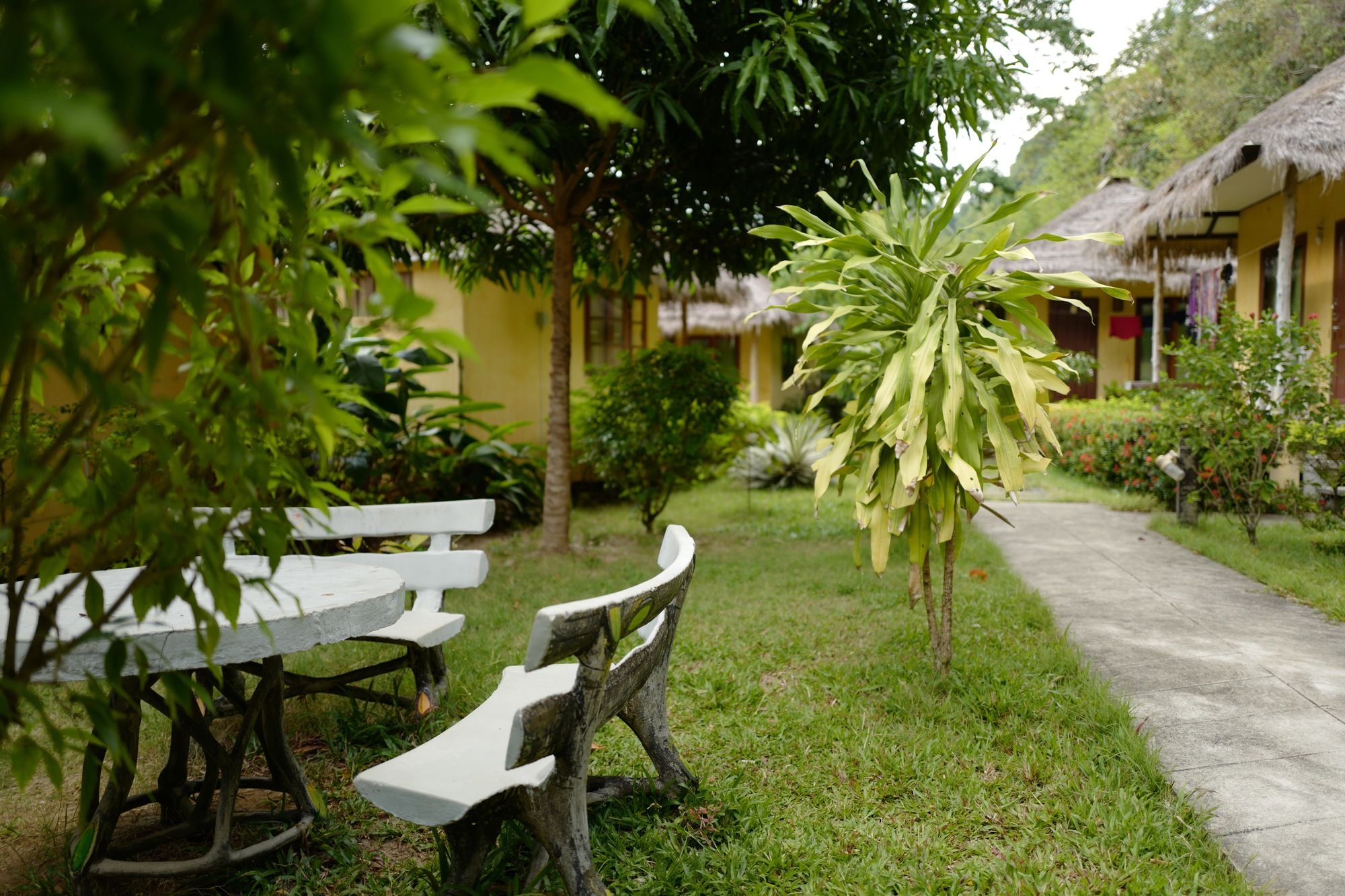 Фото Nature Beach Resort