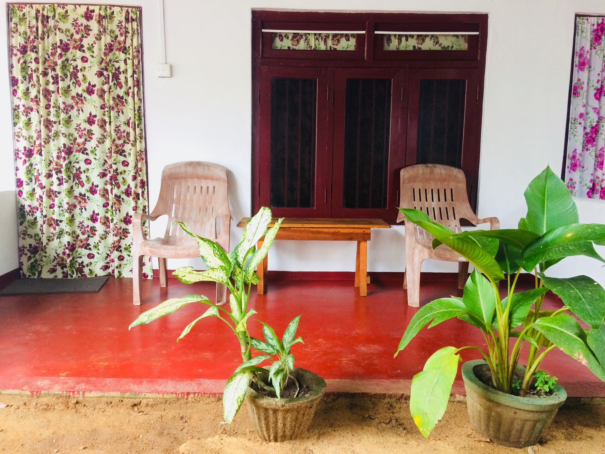 Фото Tropicana homestay