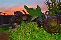 Фото Hotel 1110 - Adults Only