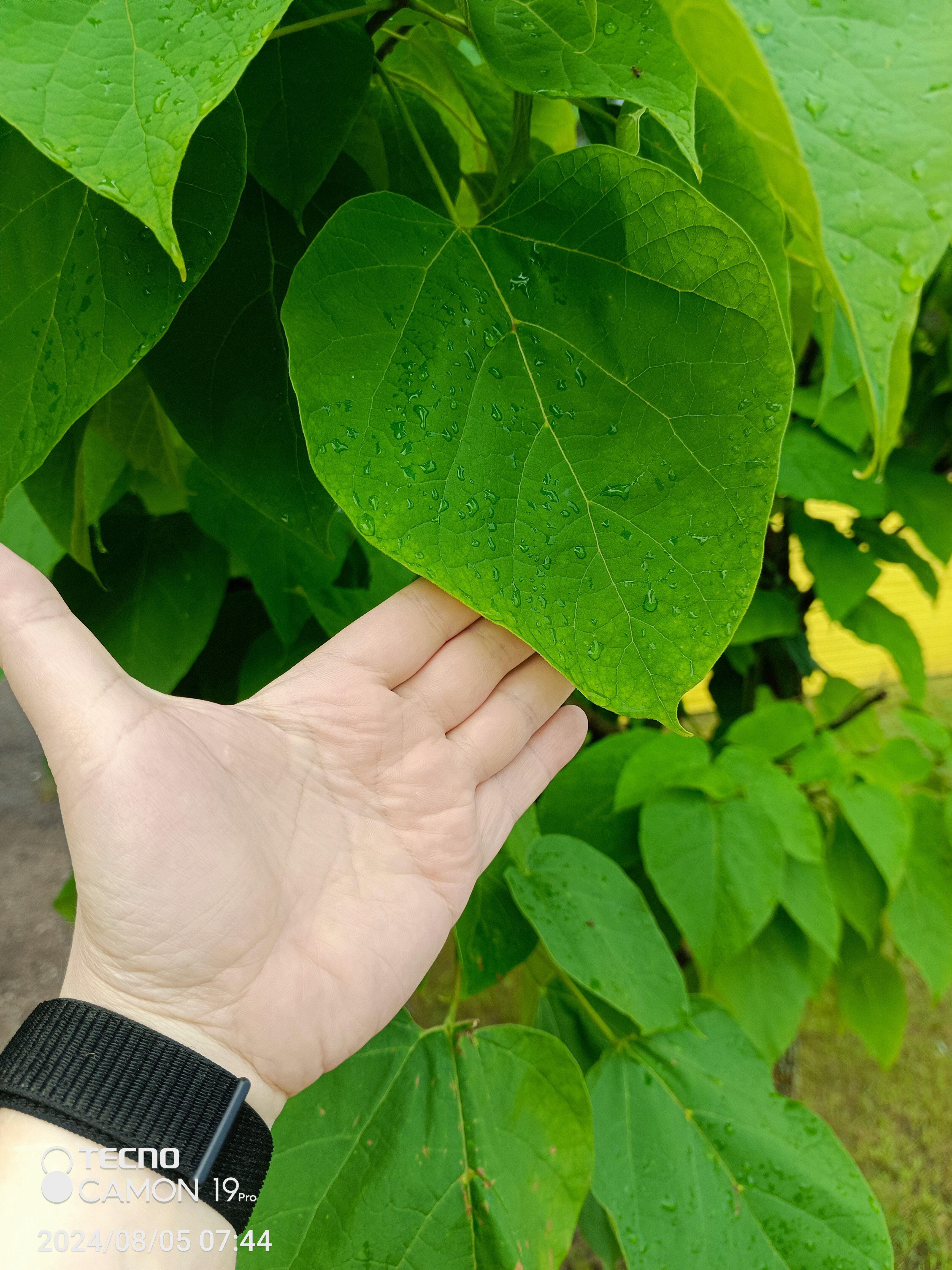 Фото На Заячьей поляне