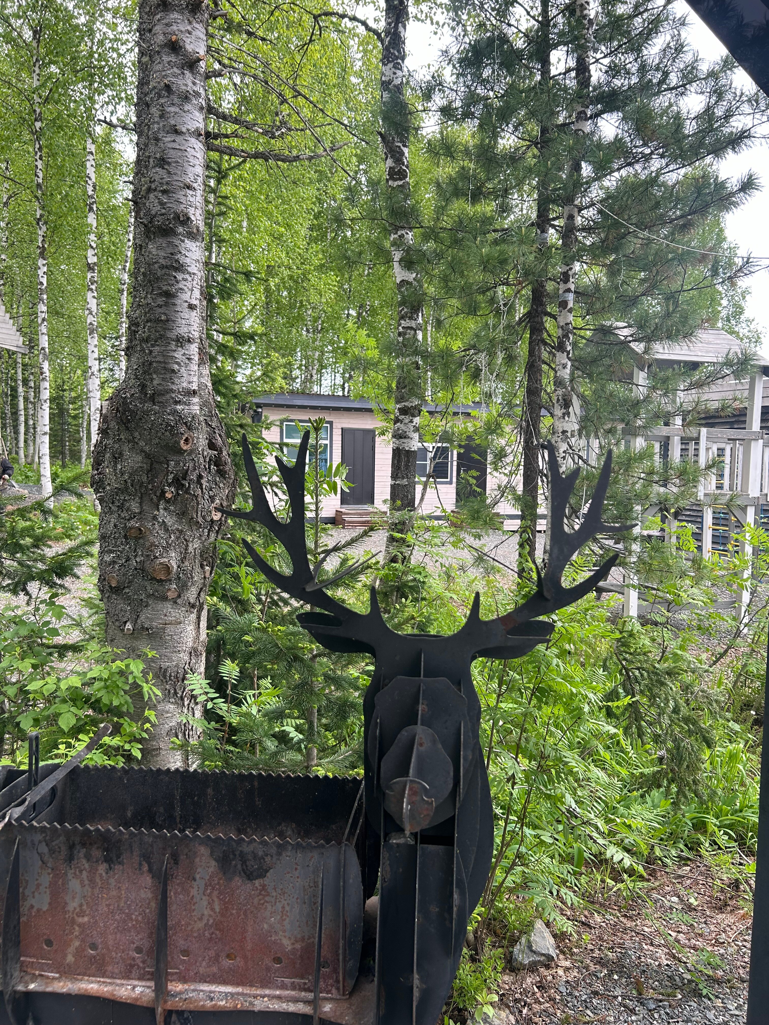 Фото Брусника № 1