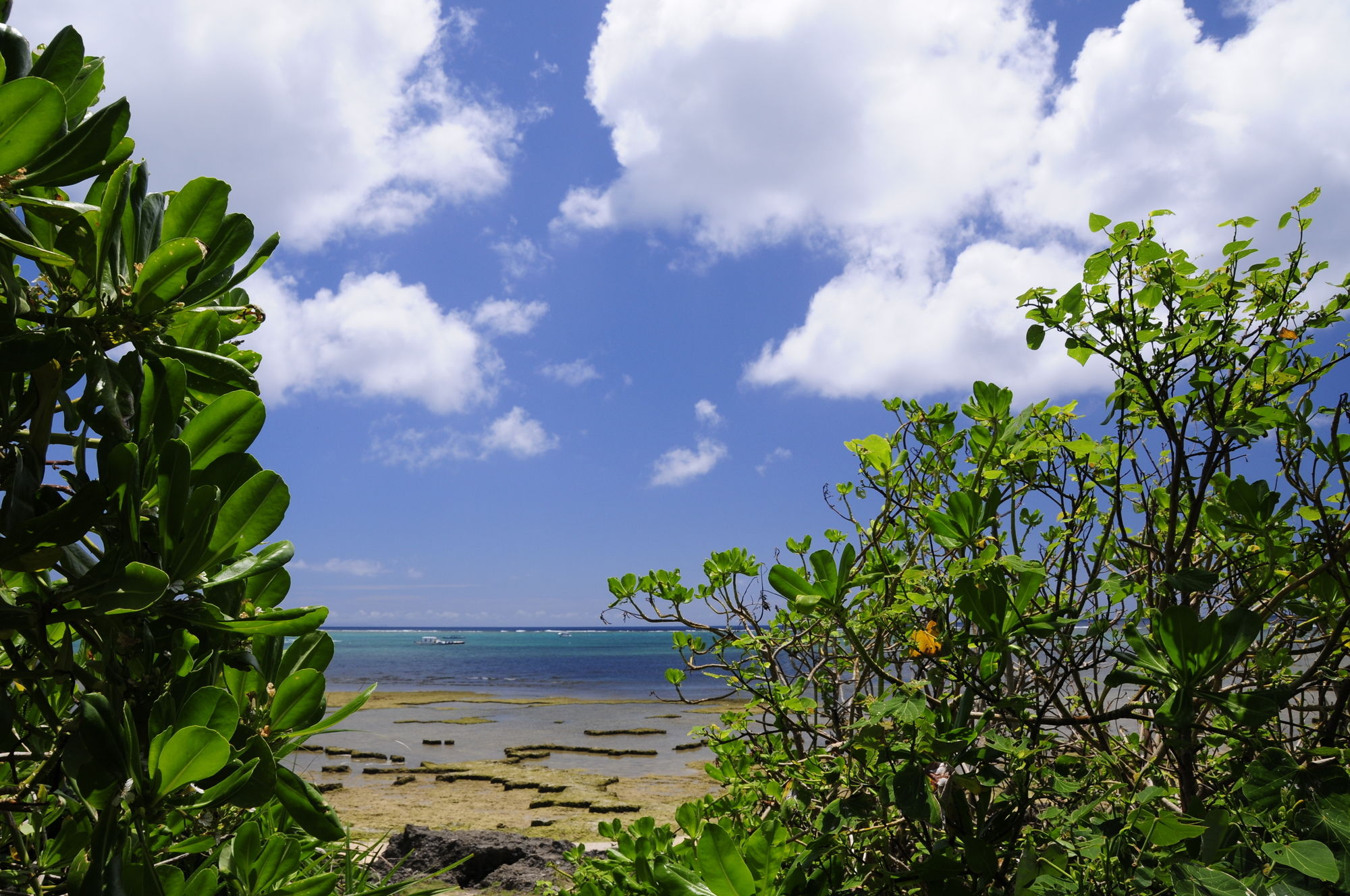Фото Grand Mercure Okinawa Cape Zanpa Resort