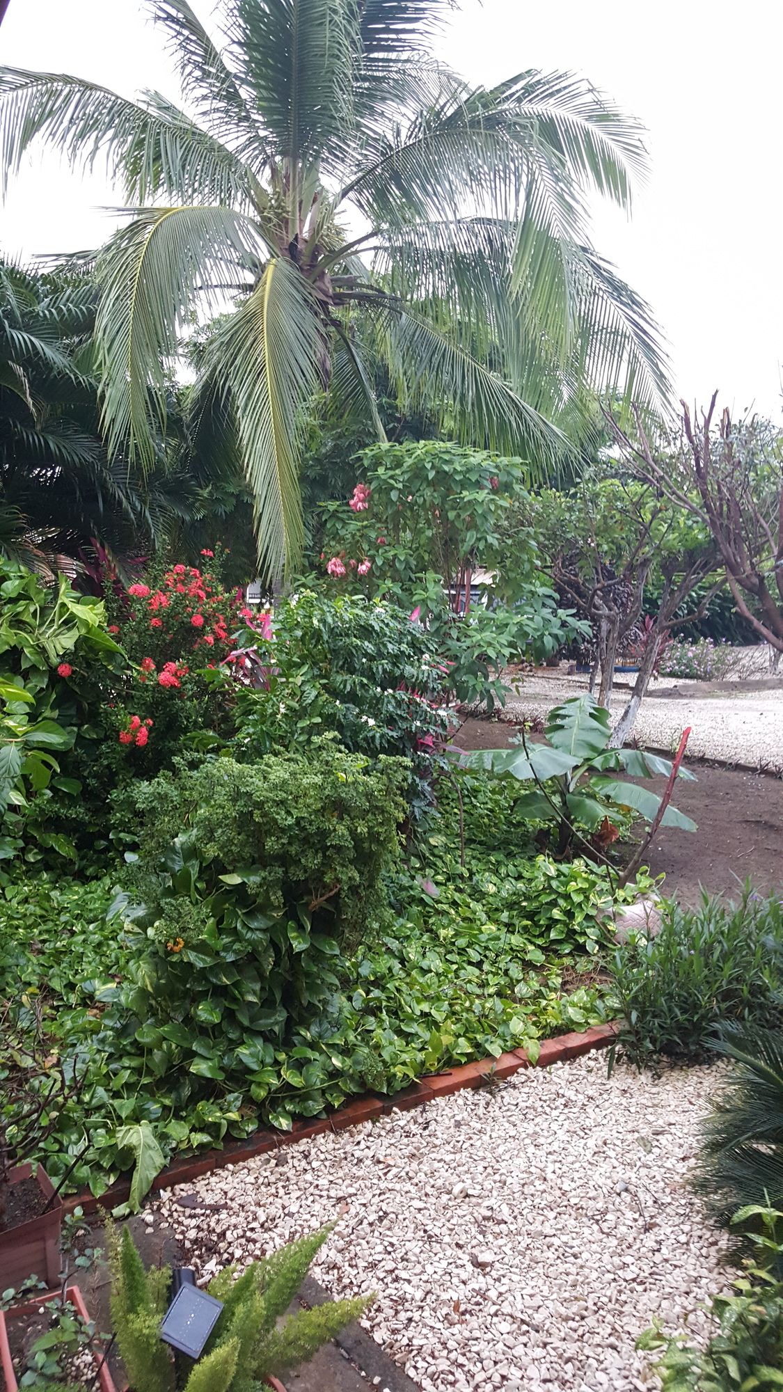 Фото Hotel La Arena