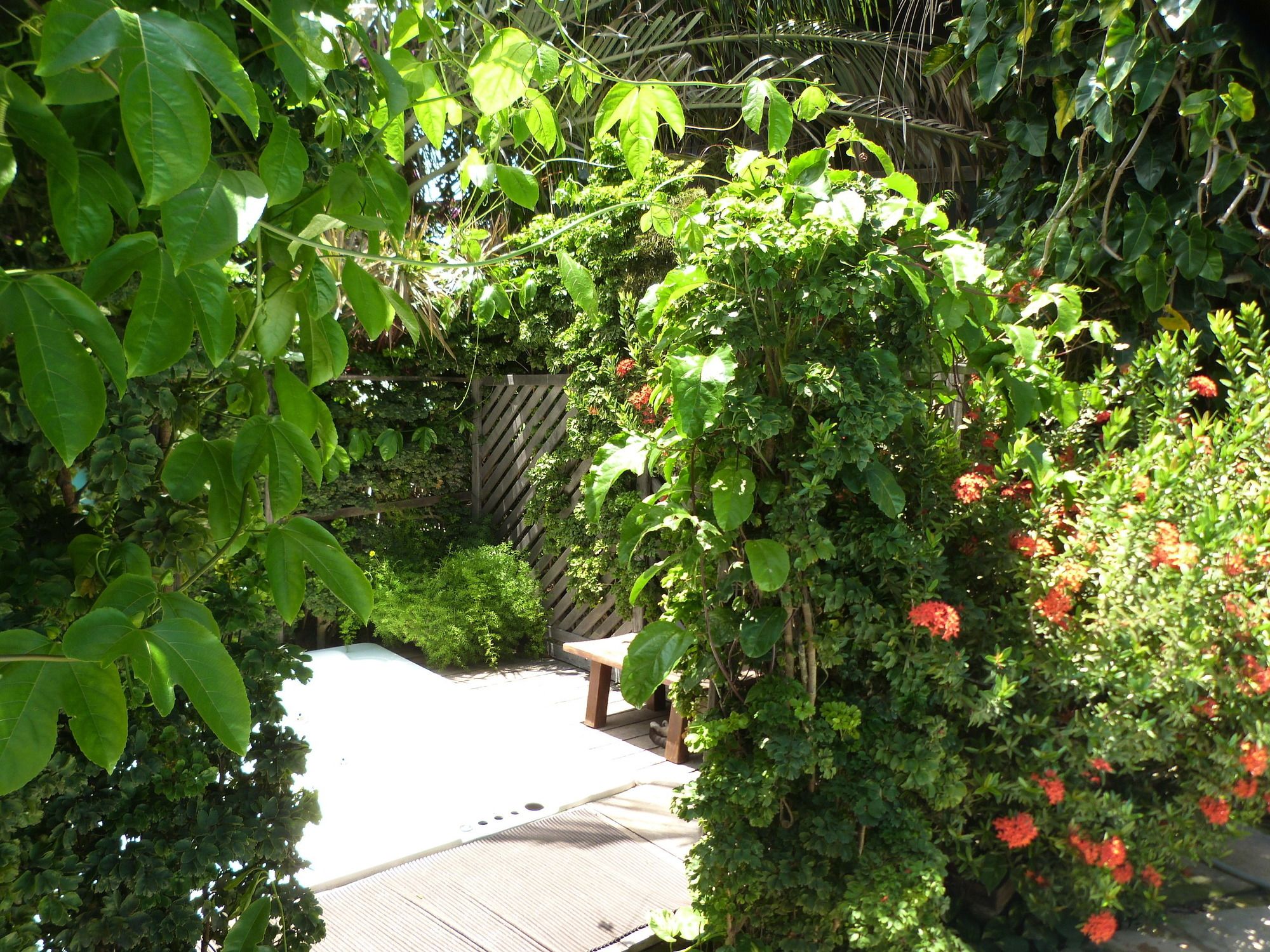 Фото Pousada Mahí