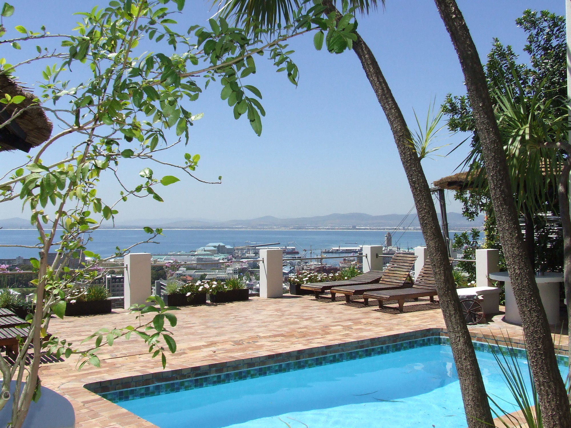 Фото Bluegum Hill Guesthouse & Apartments