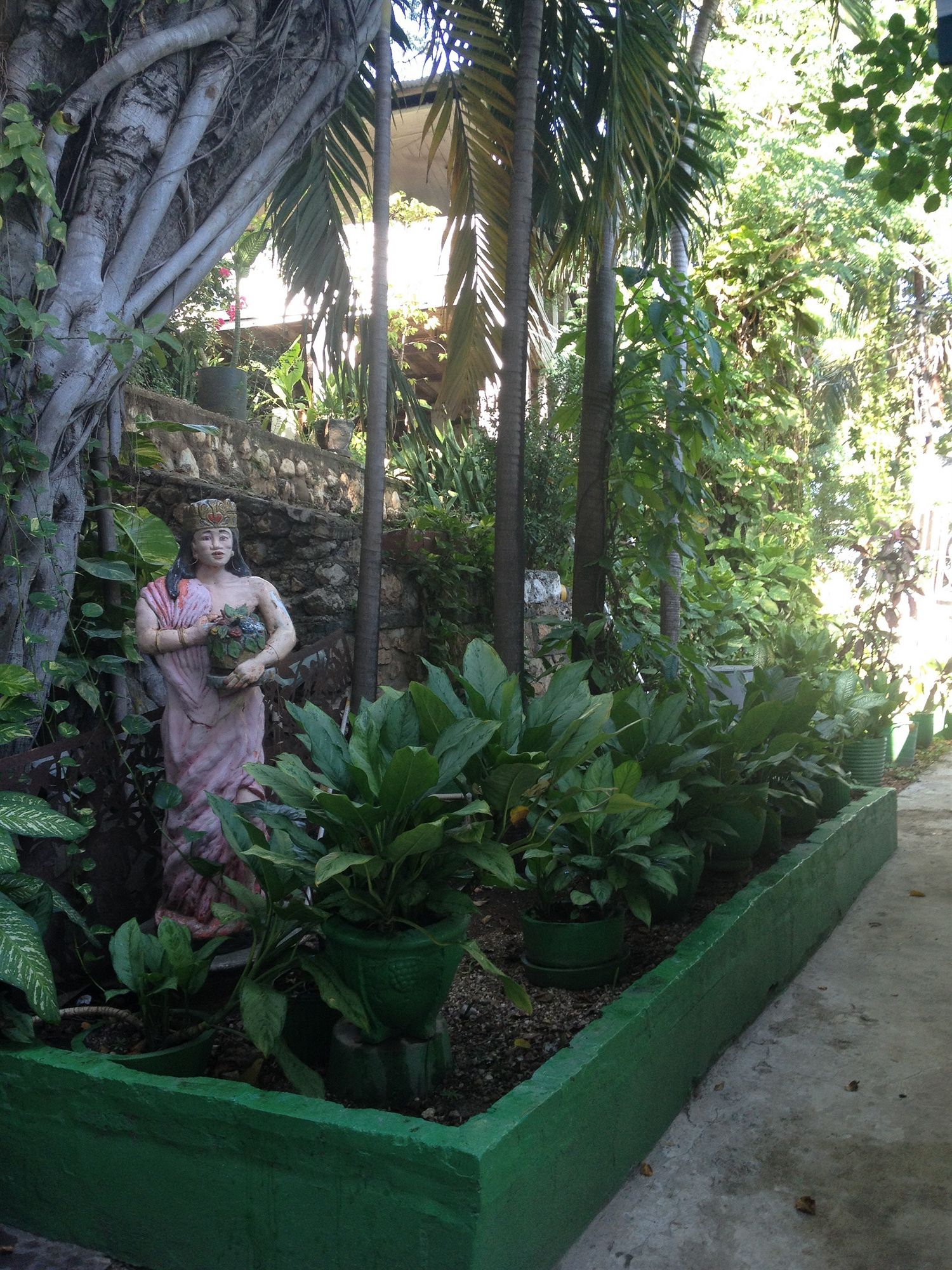 Фото Hotel Oloffson