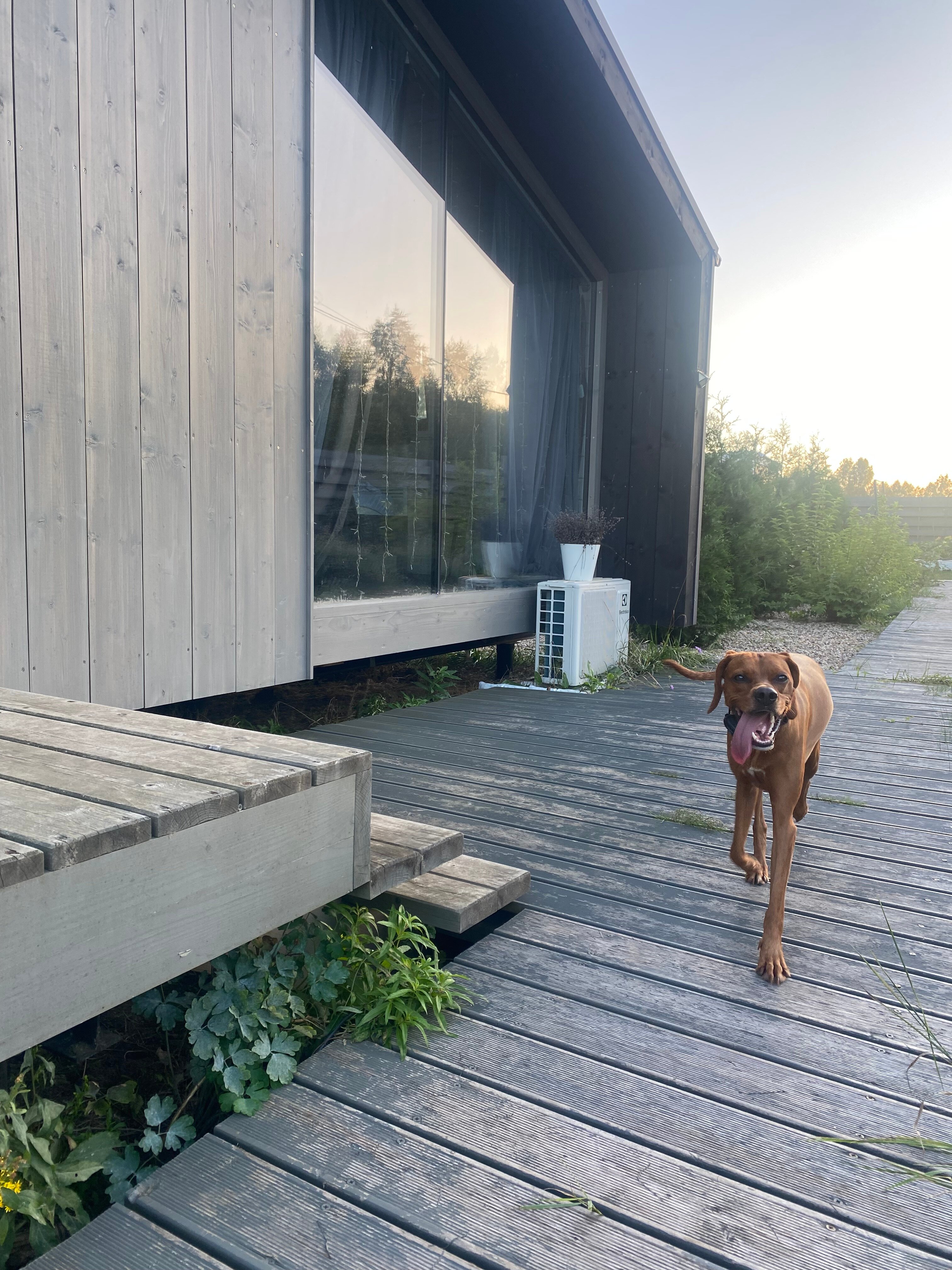 Фото Рузские Горки