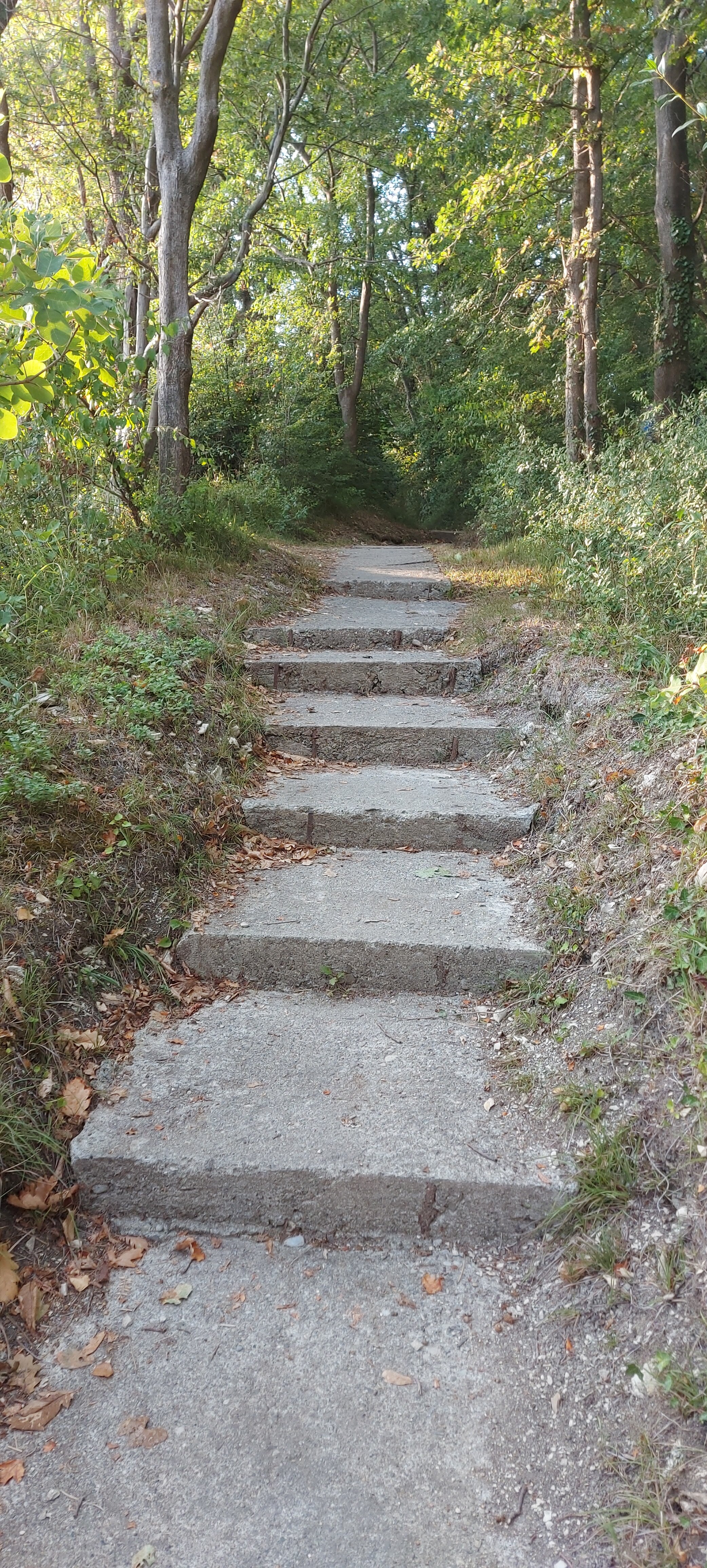 Фото Ланселот