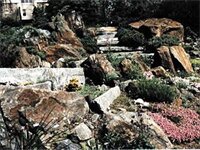 Фото Alpenhof Bed and Breakfast