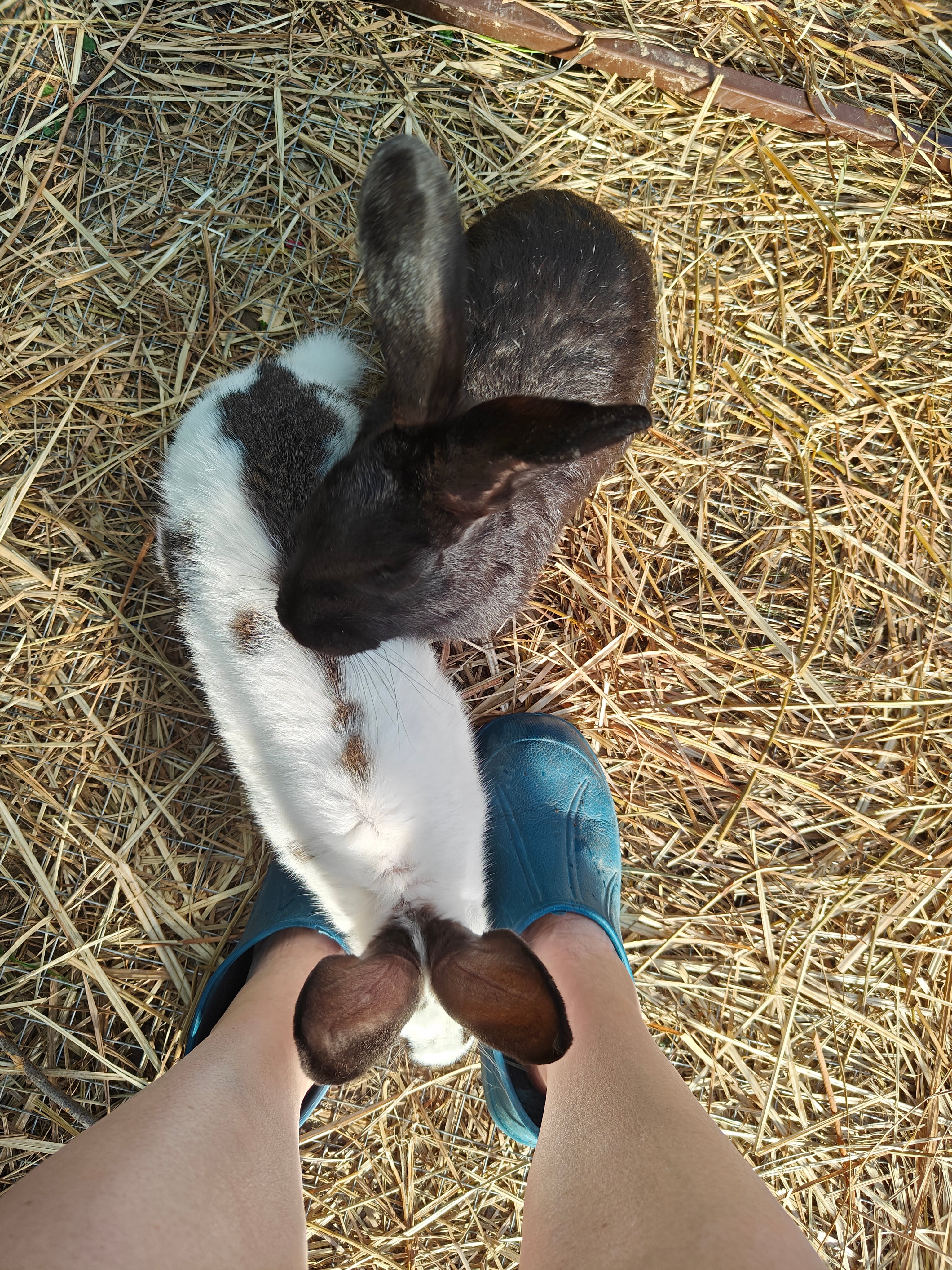 Фото Уютный домик в лесу у пруда