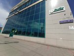 Global (Buqar Jıraw Avenue, 82), translation agency
