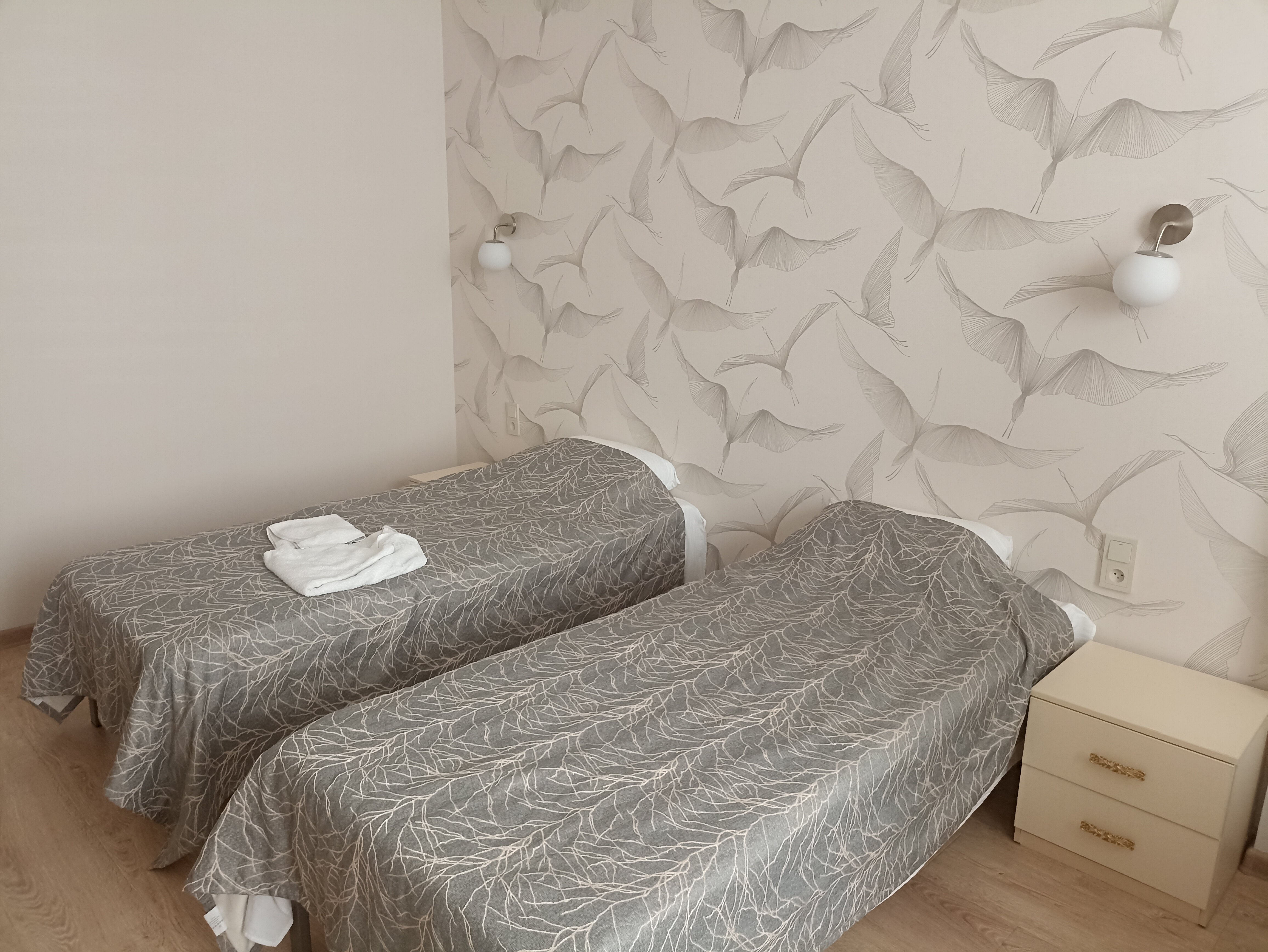 Фото Белые Журавли