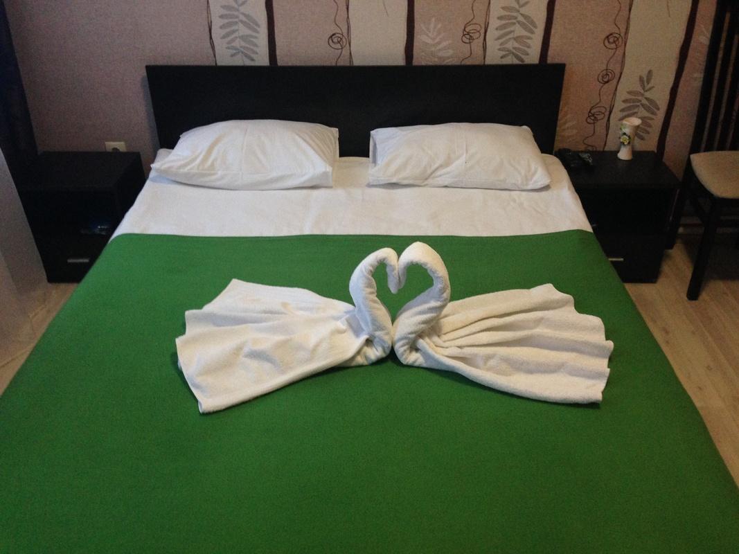 Фото Базилик