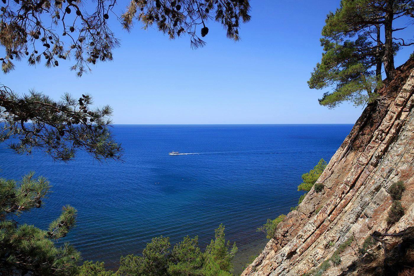 Фото Друзья