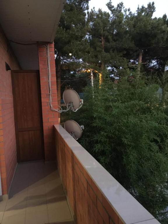 Фото Виктория