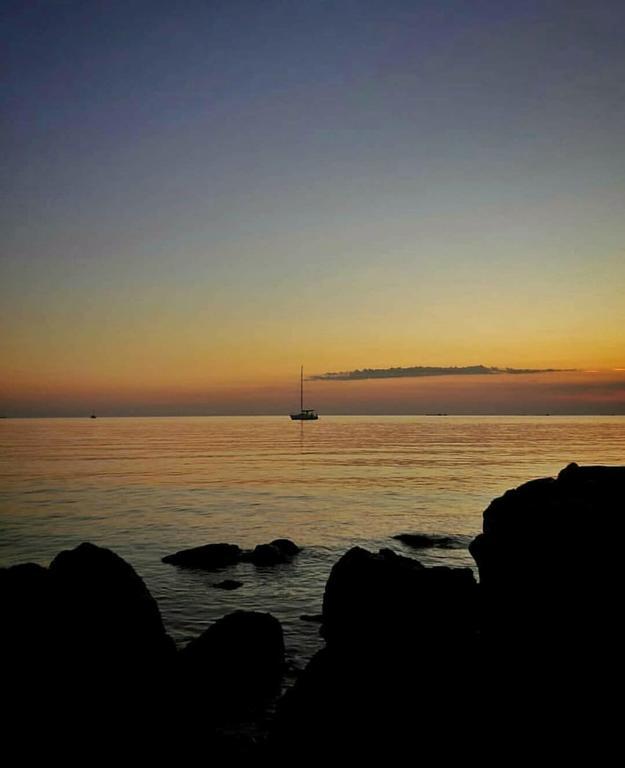 Фото Александровский сад у моря