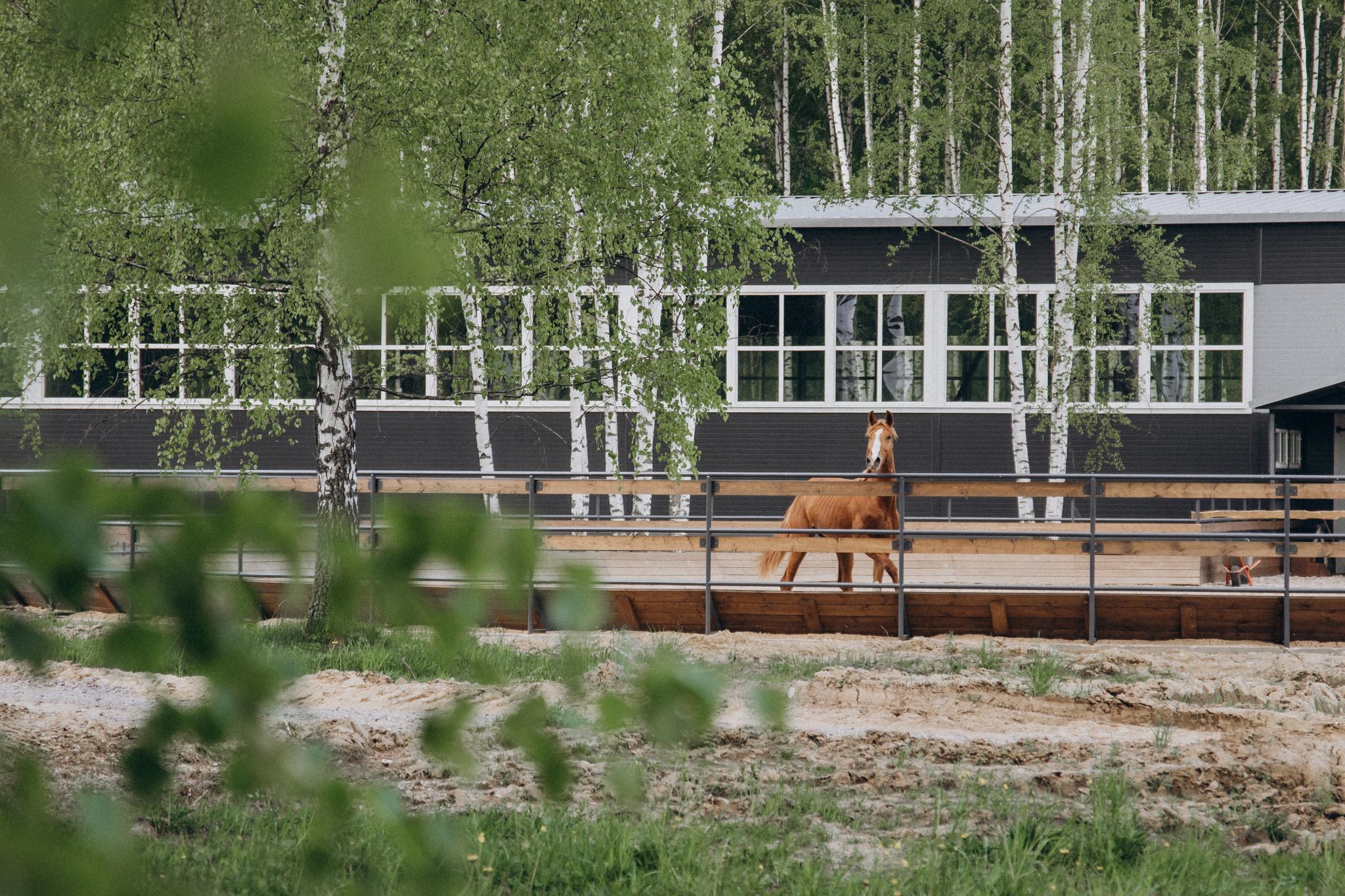 Фото Басовское