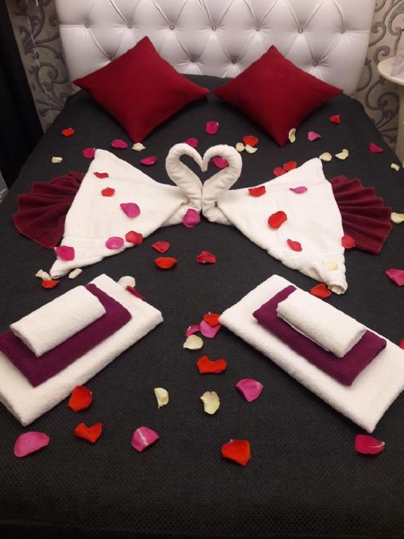 Фото Авиатор