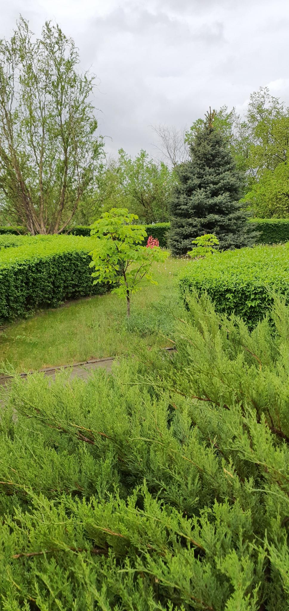 Фото Сталинград