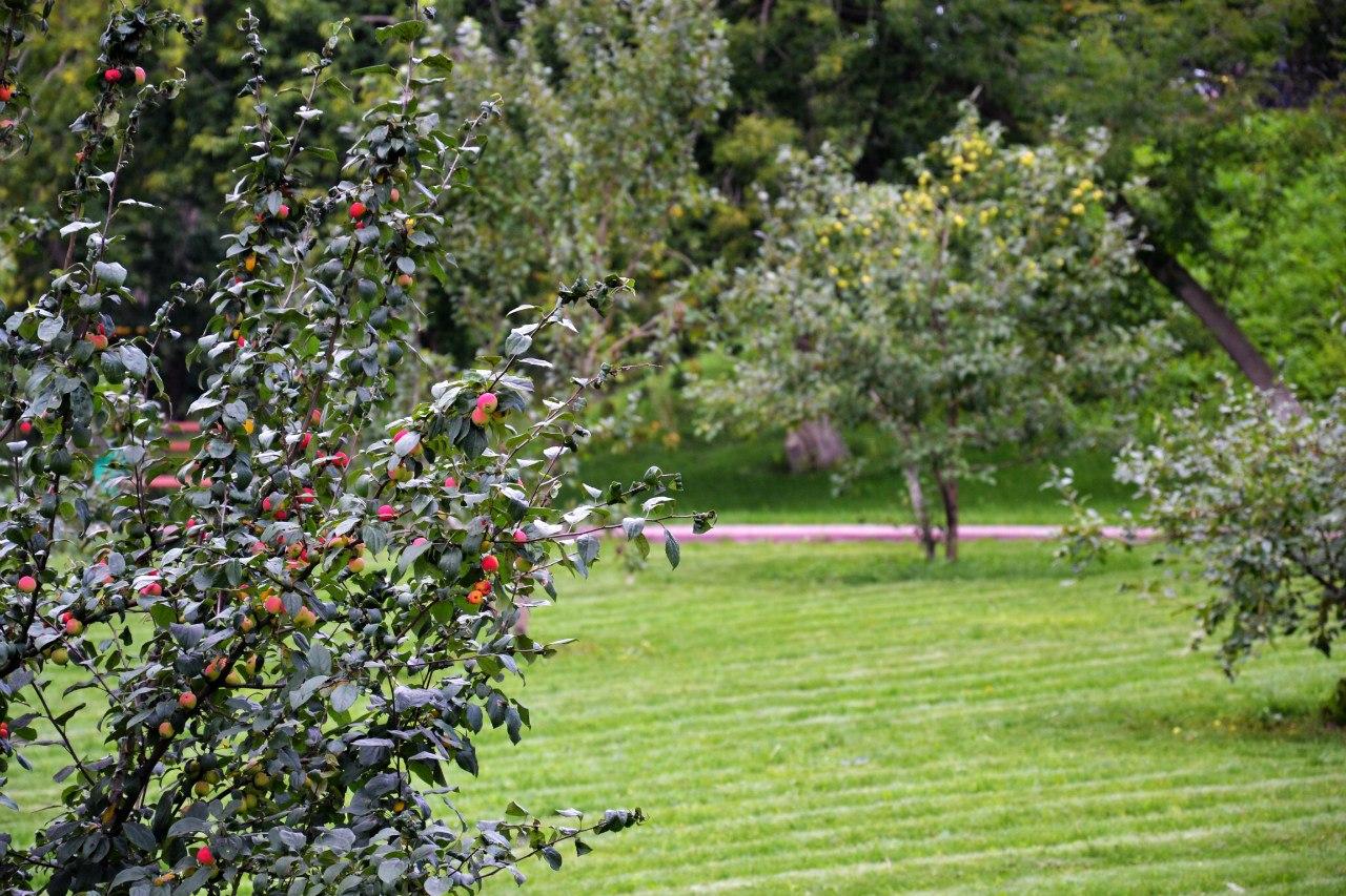 Фото ЛаВита