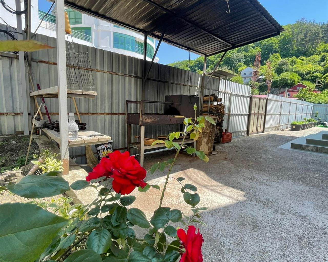 Фото ЛооБич