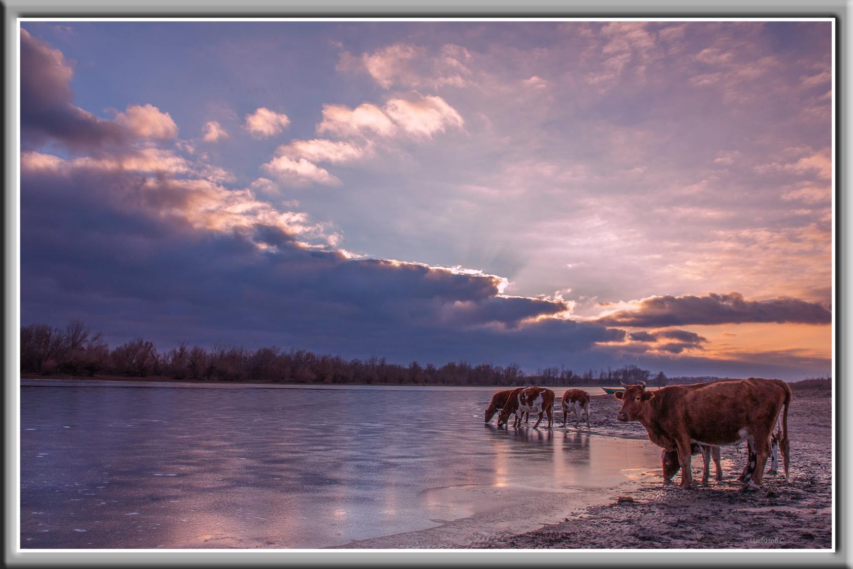 Фото Добриан