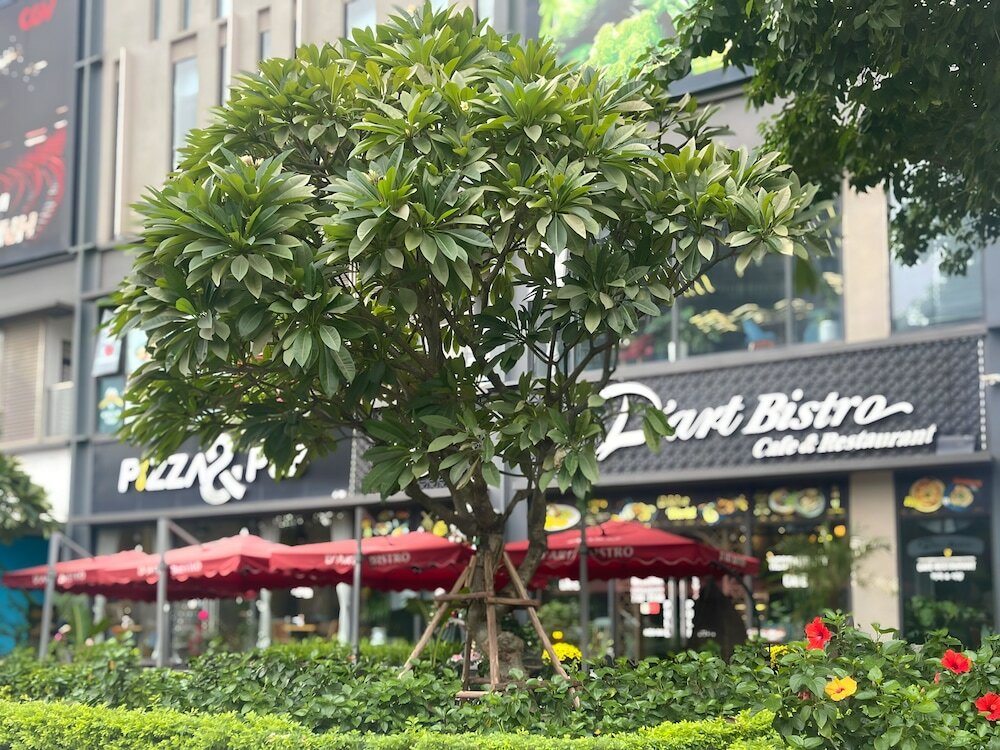 Фото Daisy Homestay - Vinhomes Sky Lake