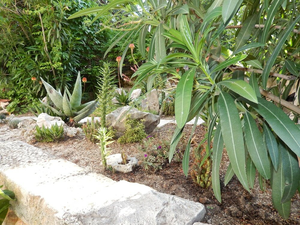 Фото Apartments Lepur