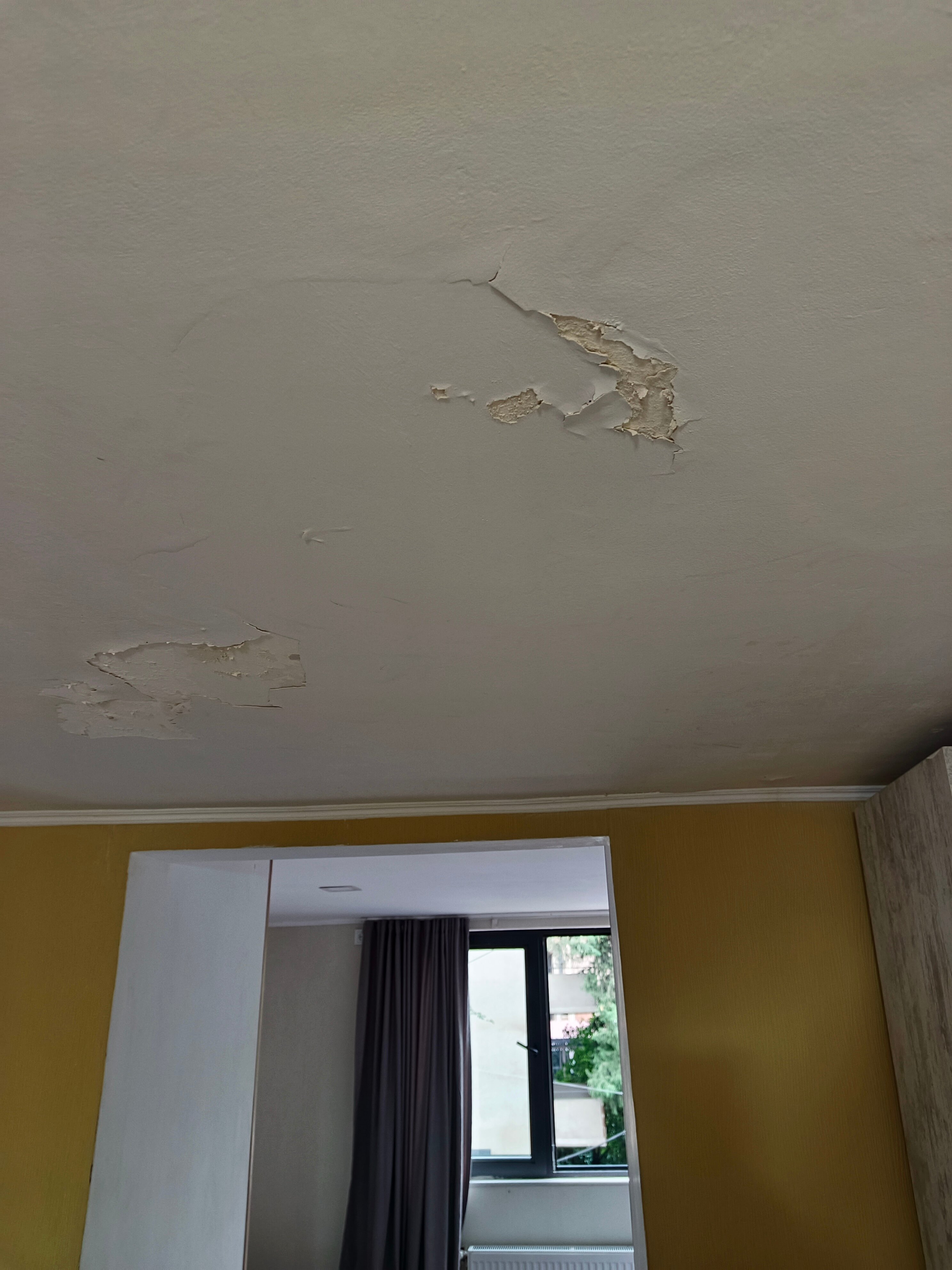 Фото Гармония