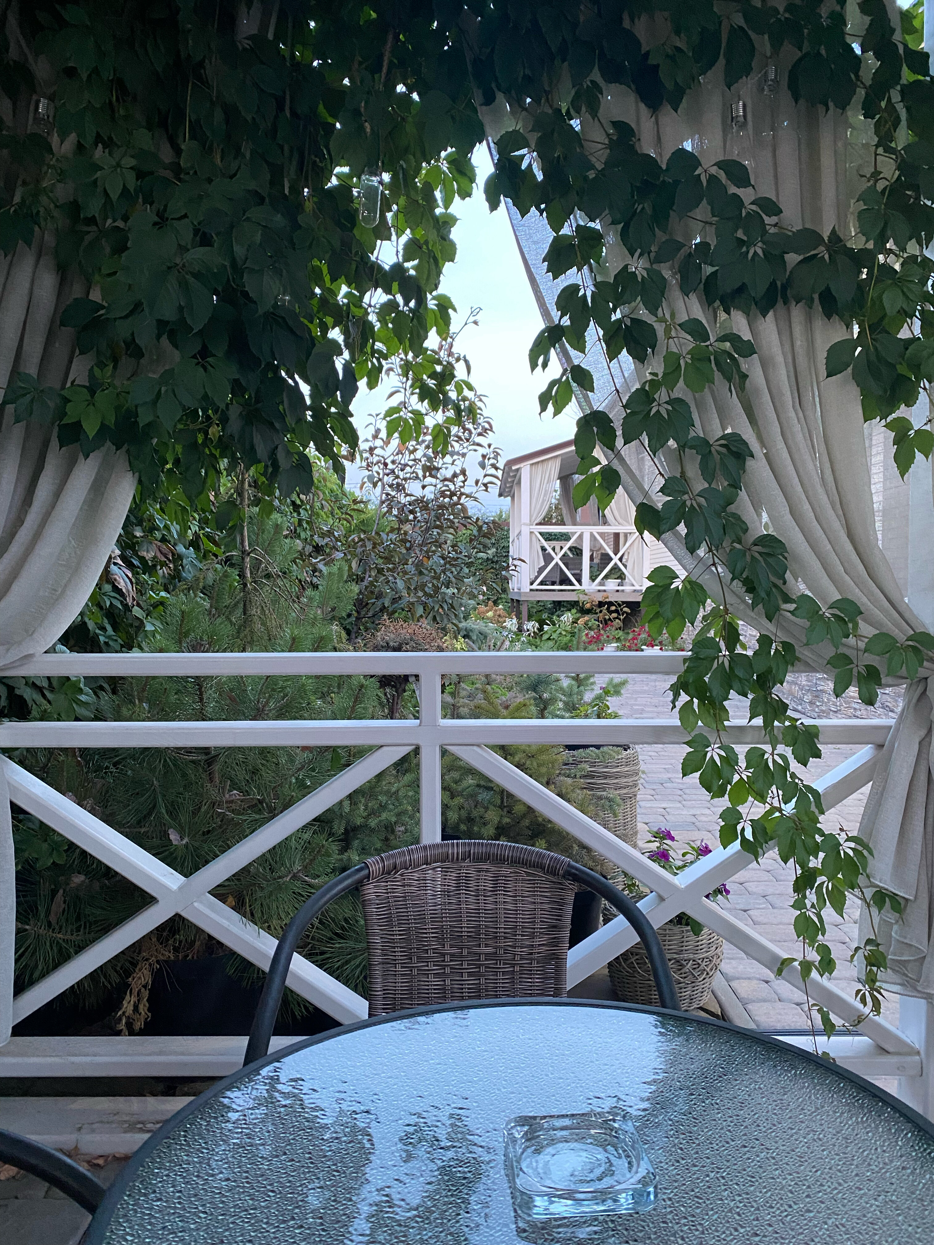 Фото Прованс