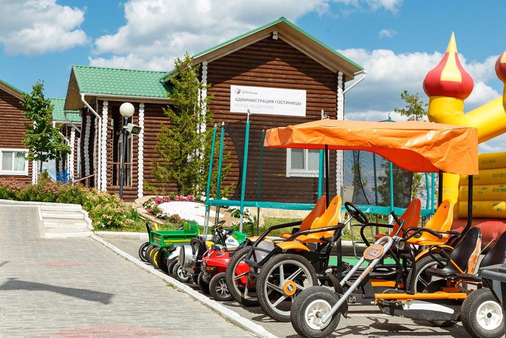 Фото Белая лошадь