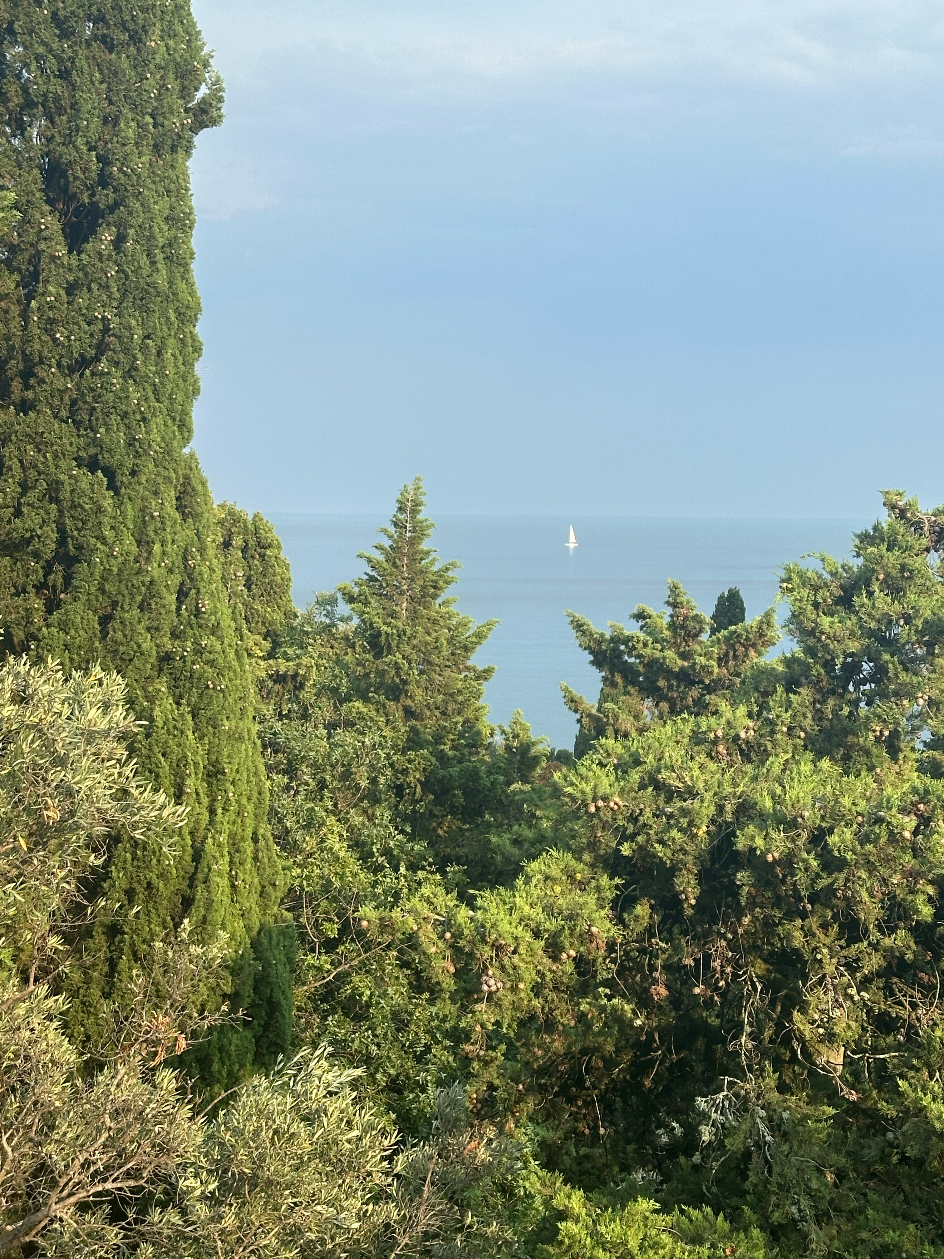 Фото Вероника