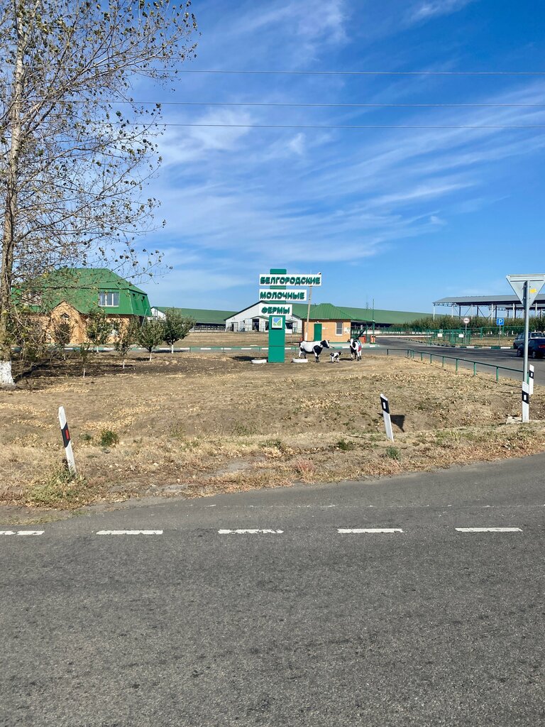 Agricultural enterprise Белгородские молочные фермы Магнолия, Belgorod Oblast, photo
