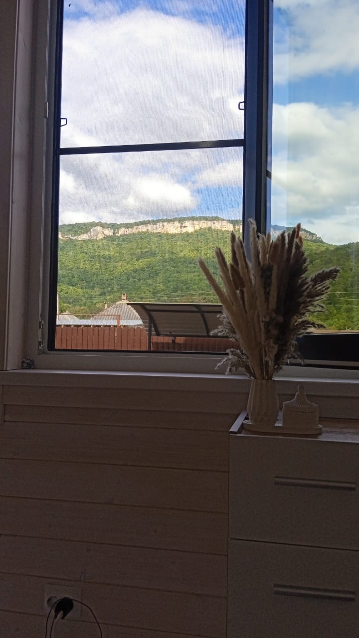 Фото Ёлки-Иголки