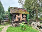 Usadba (derevnya Pokhvisnevo, Tsentralnaya ulitsa, 1), grocery