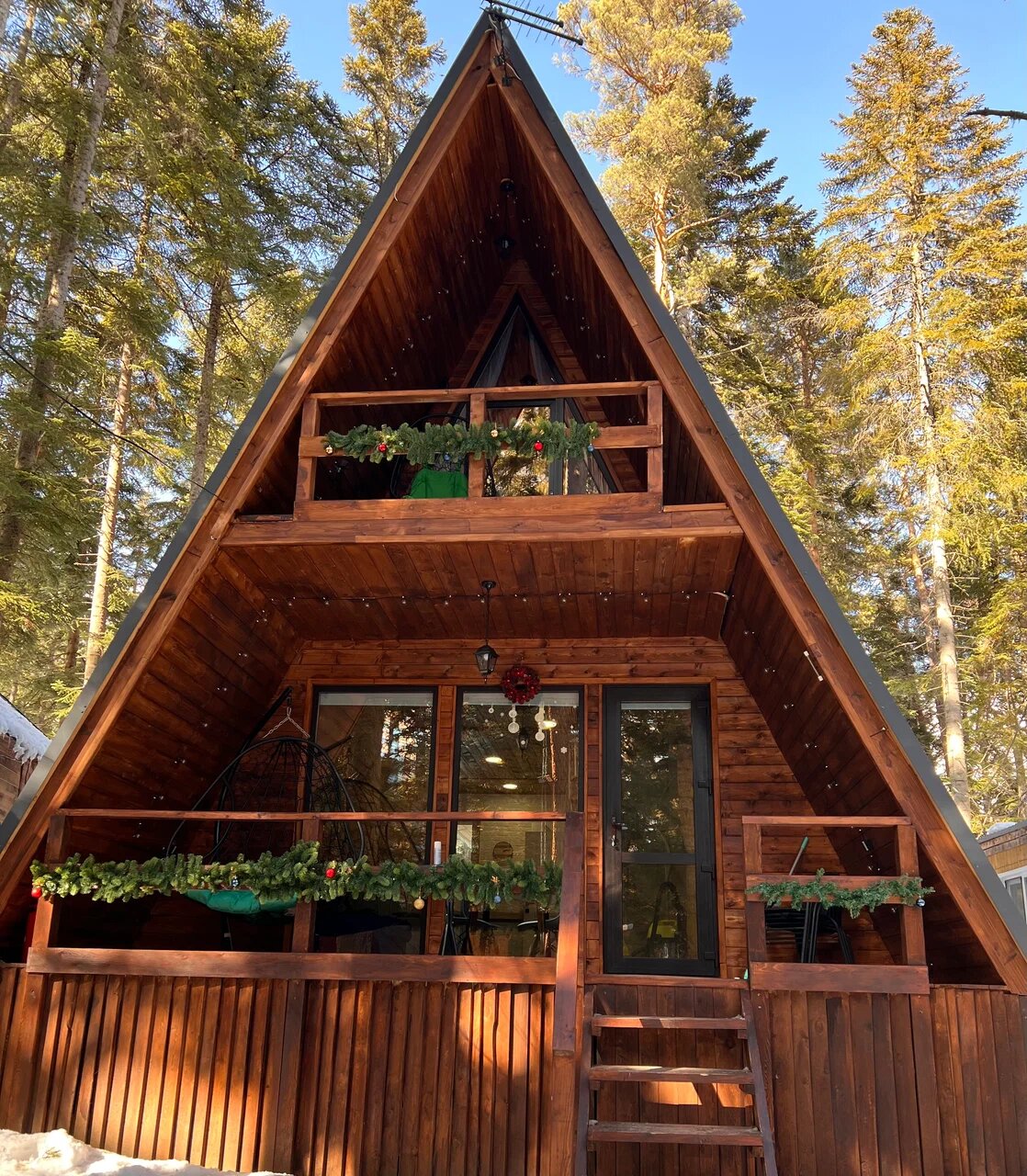 Фото Ёлки House